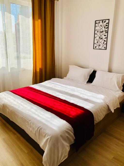 Joy City Stay Victoriei 7G-9 Timişoara Extérieur photo