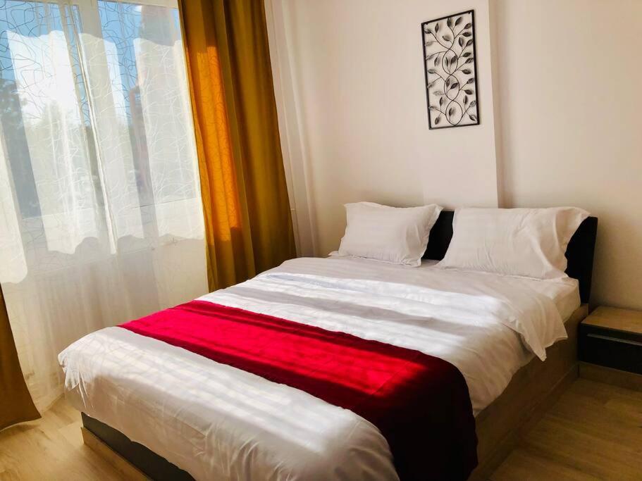 Joy City Stay Victoriei 7G-9 Timişoara Extérieur photo